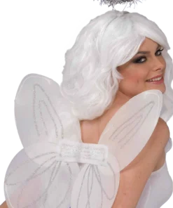 Angel Wings And Halo Set