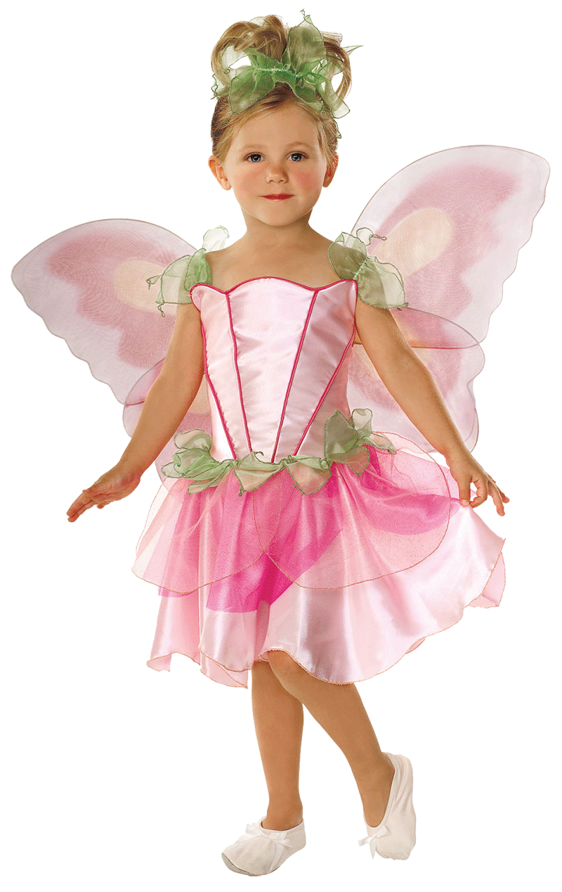Child Fairy Costume 1 Child Fairy Costume