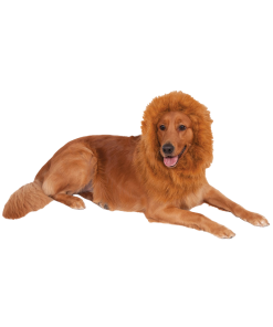 Lion Mane Dog Accessory