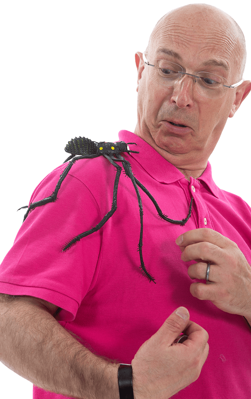 Smiffys Large Spider Decoration 1 Smiffys Large Spider Decoration