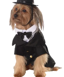 Dapper Dog Costume
