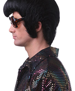 GENERIC Elvis Rocker Wig