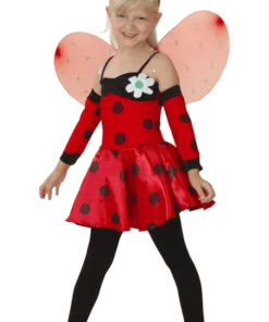 Childrens Ladybird Costume