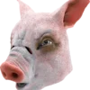 Pig Facepiece