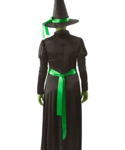 Adult Wicked Witch Halloween Costume -Halloween Decoration Shop 00015570a02