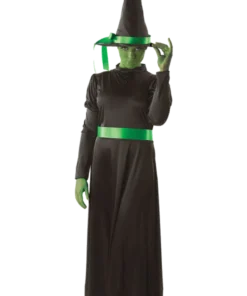 Adult Wicked Witch Halloween Costume