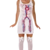 Womens Novelty Artery Dress Costume