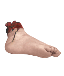 Severed Foot Home Decoration