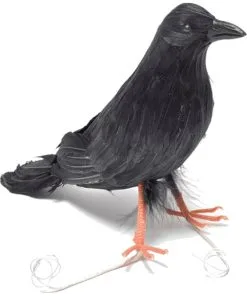 Feather Raven Bird Accessory