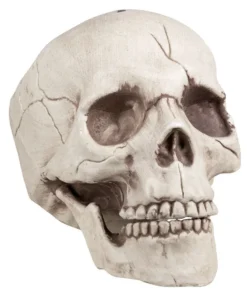 GENERIC Skull Jawbone With Movable Jaw Accessory